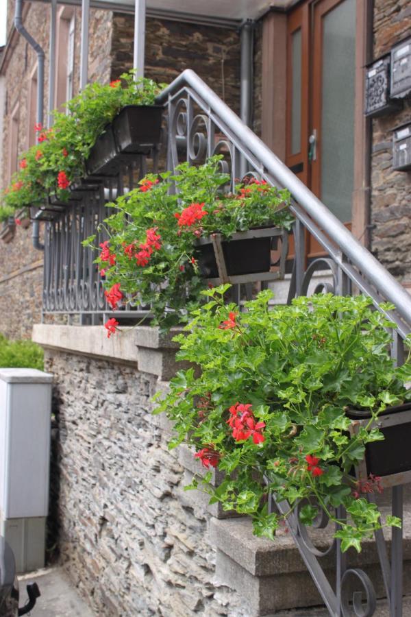 Moselloft Zeltingen-Rachtig Appartement Buitenkant foto